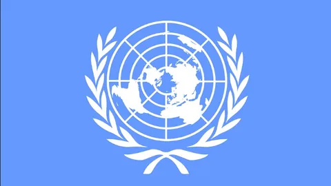 巴西球星塞尔吉尼奥入籍中国，国足阵容拼图圆满收官。